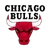 regatas Chicago Bulls NBA shorts sneakers Trinity Company